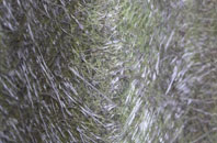 Rhuallt fibreglass roof work